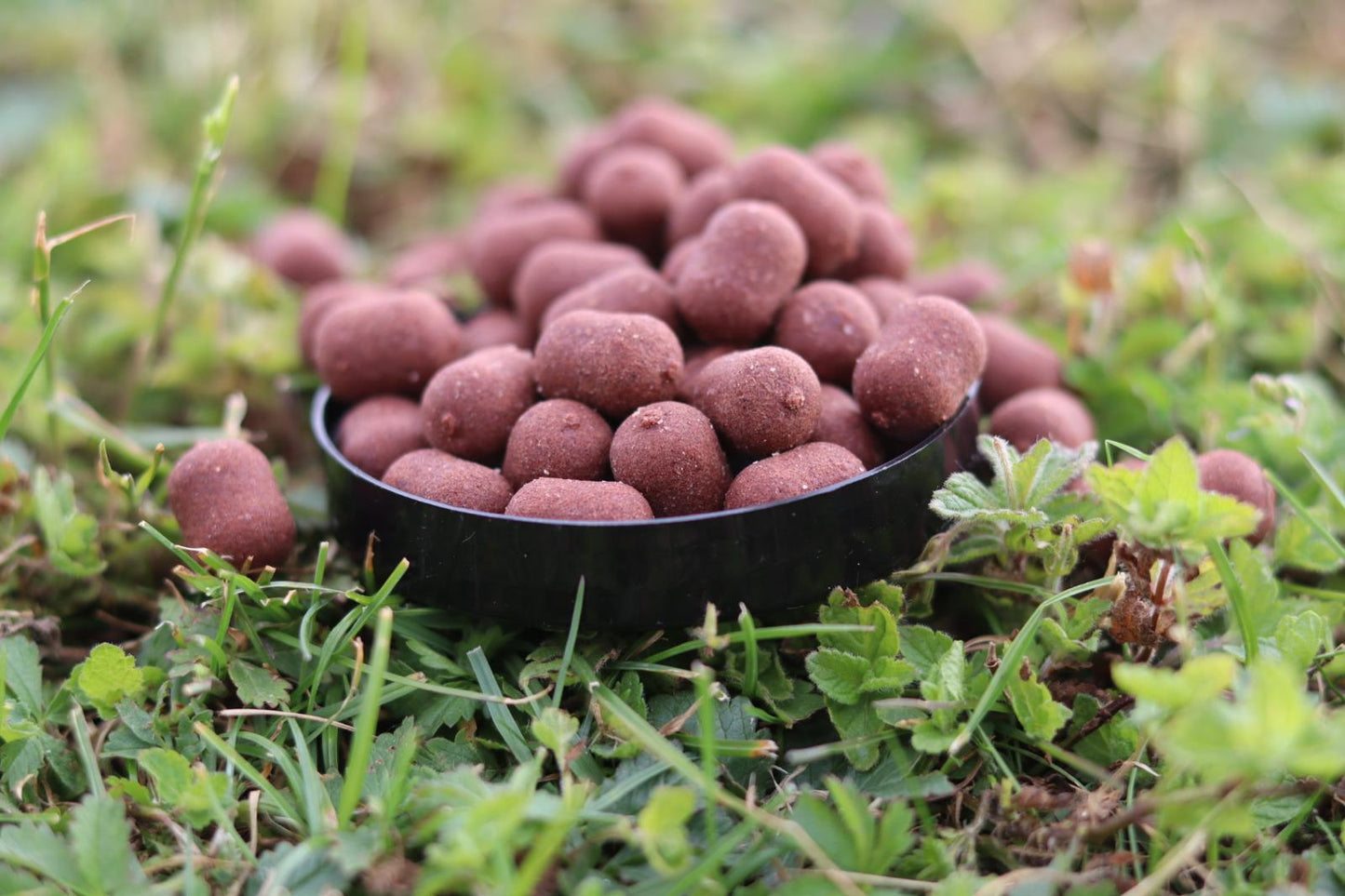 Natural Wafters